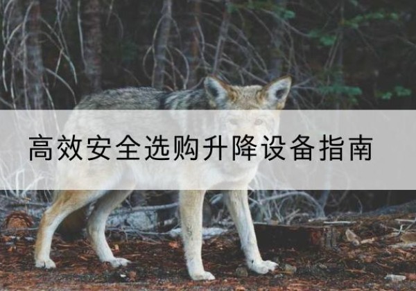 上高升降货梯厂家推荐-*安全选购升降设备指南