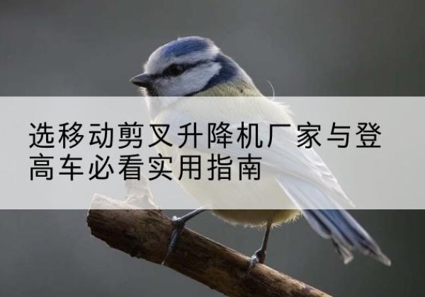 上高电动升降机厂家-选移动剪叉升降机厂家与登高车必看实用指南