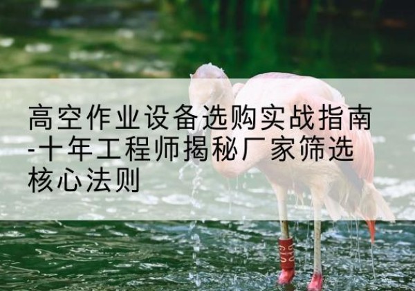 上高剪叉式升降机厂家-高空作业设备选购实战指南-十年工程师揭秘厂家筛选核心法则